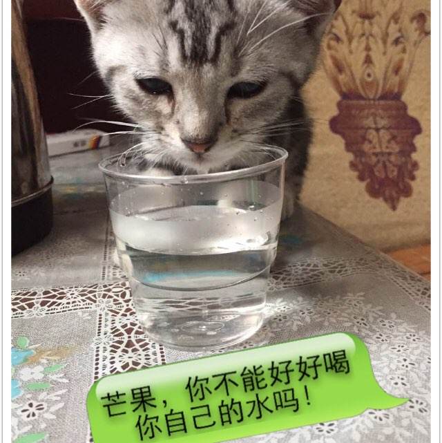 拉脱维亚身份证怎么买到
